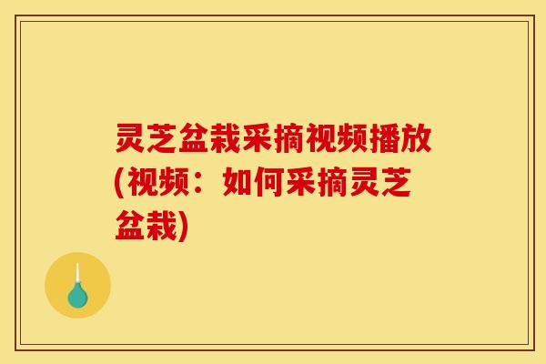 灵芝盆栽采摘视频播放(视频：如何采摘灵芝盆栽)