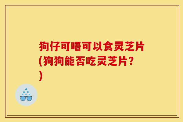 狗仔可唔可以食灵芝片(狗狗能否吃灵芝片？)