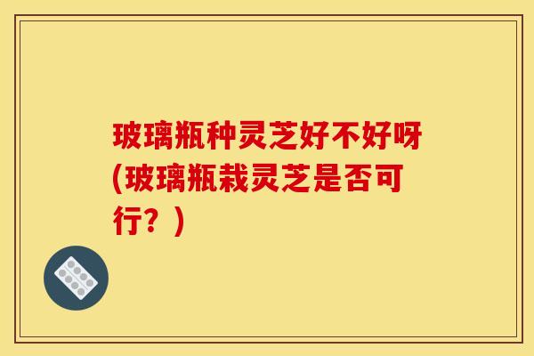 玻璃瓶种灵芝好不好呀(玻璃瓶栽灵芝是否可行？)