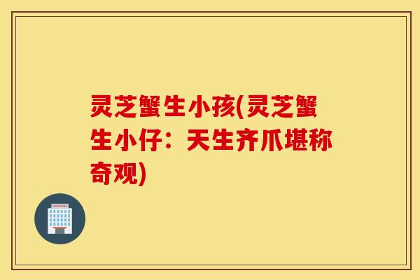 灵芝蟹生小孩(灵芝蟹生小仔：天生齐爪堪称奇观)