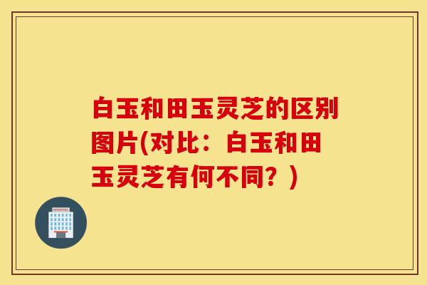 白玉和田玉灵芝的区别图片(对比：白玉和田玉灵芝有何不同？)