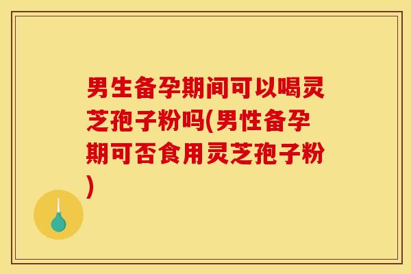 男生备孕期间可以喝灵芝孢子粉吗(男性备孕期可否食用灵芝孢子粉)