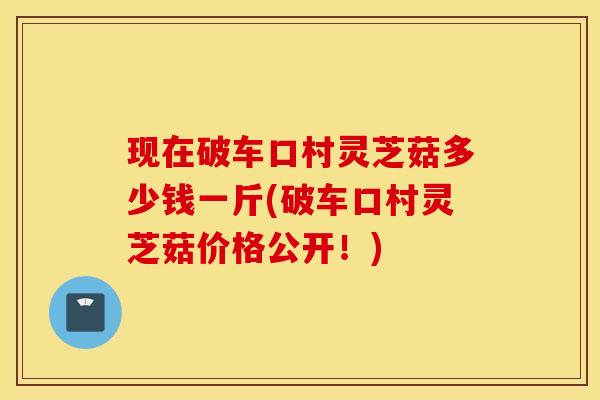 现在破车口村灵芝菇多少钱一斤(破车口村灵芝菇价格公开！)