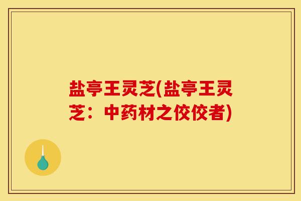 盐亭王灵芝(盐亭王灵芝：中药材之佼佼者)
