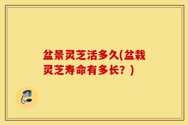 盆景灵芝活多久(盆栽灵芝寿命有多长？)