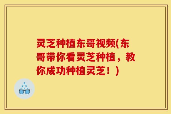 灵芝种植东哥视频(东哥带你看灵芝种植，教你成功种植灵芝！)