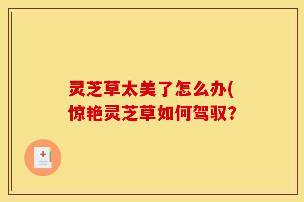灵芝草太美了怎么办(惊艳灵芝草如何驾驭？