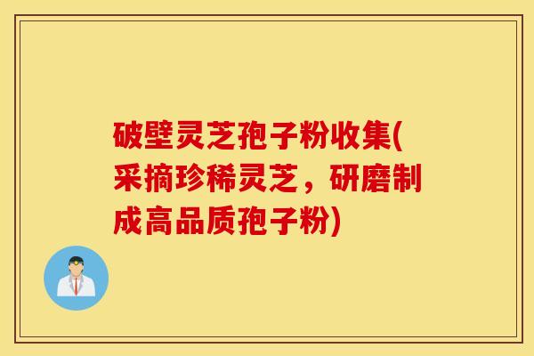 破壁灵芝孢子粉收集(采摘珍稀灵芝，研磨制成高品质孢子粉)