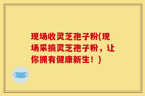现场收灵芝孢子粉(现场采摘灵芝孢子粉，让你拥有健康新生！)