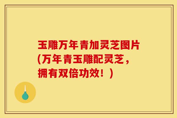 玉雕万年青加灵芝图片(万年青玉雕配灵芝，拥有双倍功效！)