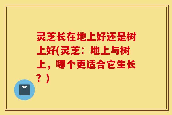 灵芝长在地上好还是树上好(灵芝：地上与树上，哪个更适合它生长？)