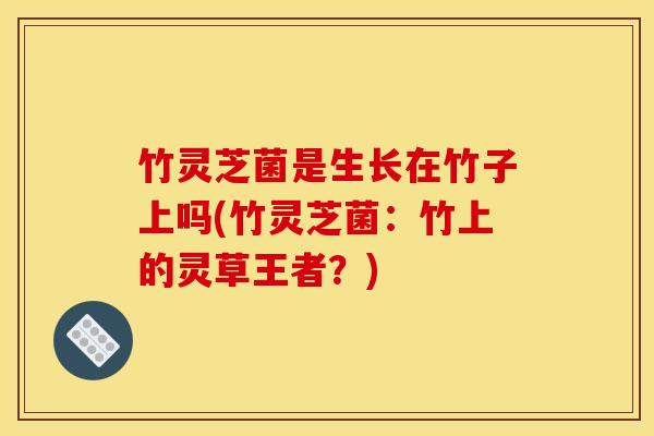 竹灵芝菌是生长在竹子上吗(竹灵芝菌：竹上的灵草王者？)
