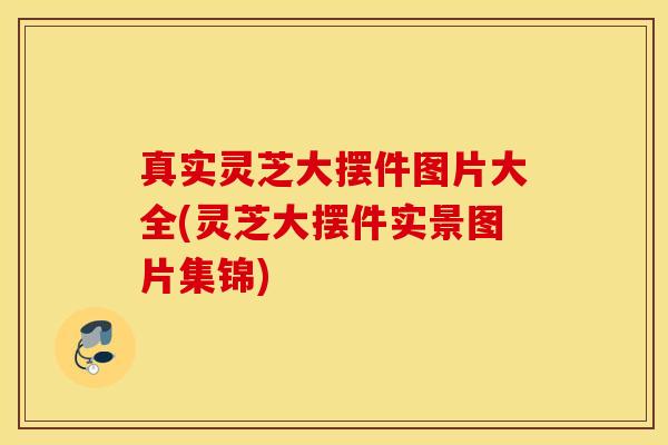 真实灵芝大摆件图片大全(灵芝大摆件实景图片集锦)