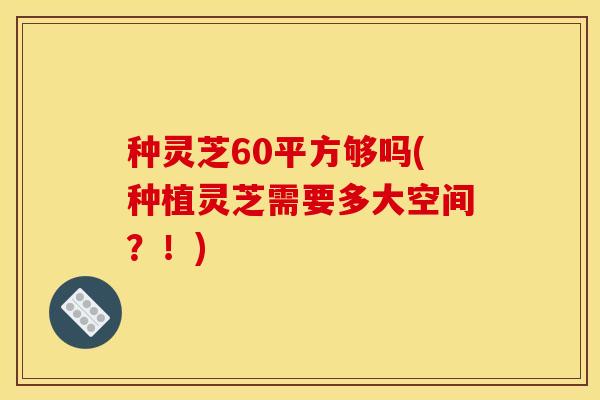 种灵芝60平方够吗(种植灵芝需要多大空间？！)