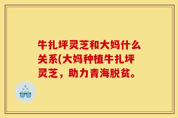 牛扎坪灵芝和大妈什么关系(大妈种植牛扎坪灵芝，助力青海脱贫。