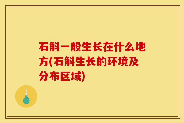 石斛一般生长在什么地方(石斛生长的环境及分布区域)