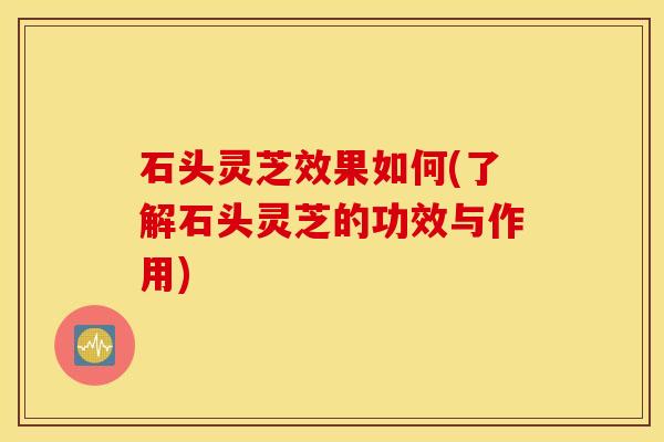 石头灵芝效果如何(了解石头灵芝的功效与作用)