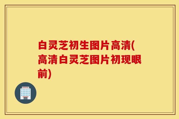 白灵芝初生图片高清(高清白灵芝图片初现眼前)