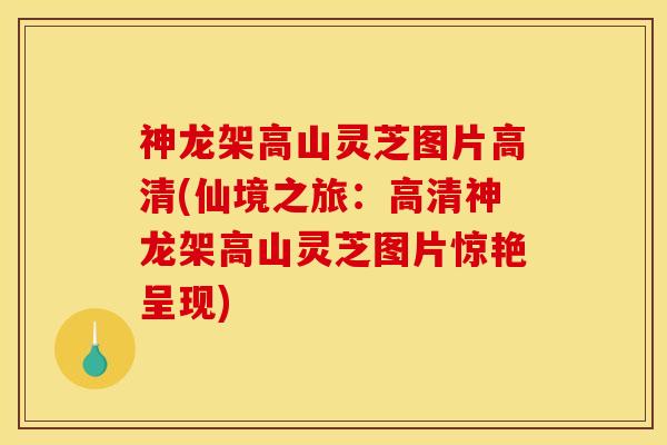 神龙架高山灵芝图片高清(仙境之旅：高清神龙架高山灵芝图片惊艳呈现)