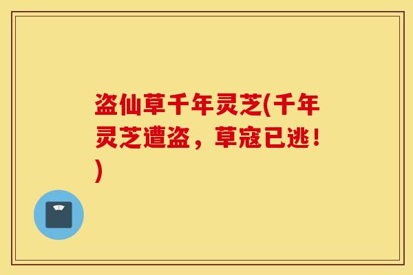盗仙草千年灵芝(千年灵芝遭盗，草寇已逃！)