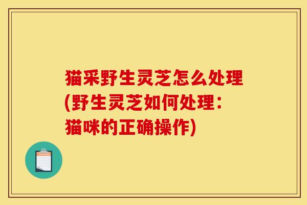 猫采野生灵芝怎么处理(野生灵芝如何处理：猫咪的正确操作)