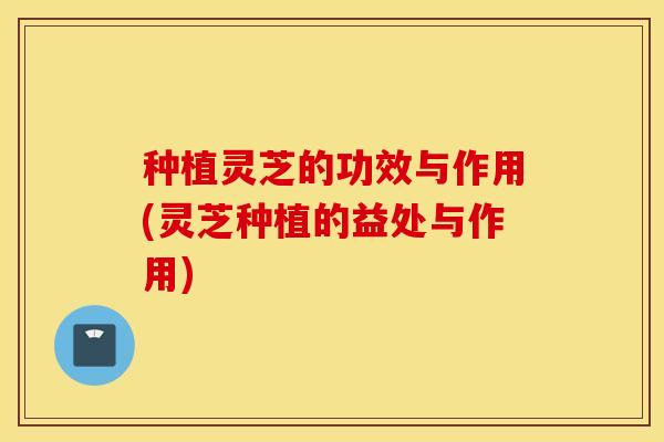 种植灵芝的功效与作用(灵芝种植的益处与作用)