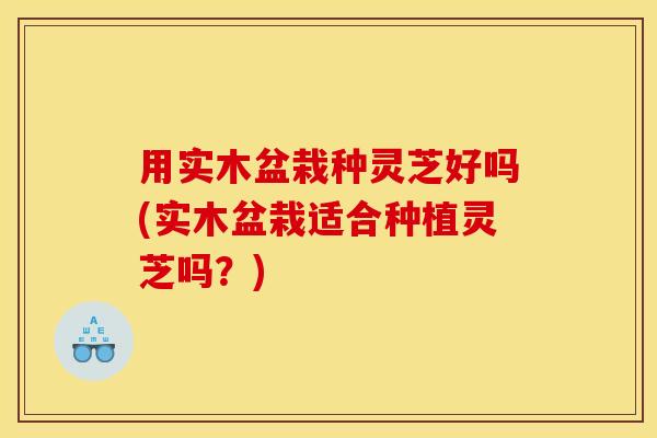 用实木盆栽种灵芝好吗(实木盆栽适合种植灵芝吗？)
