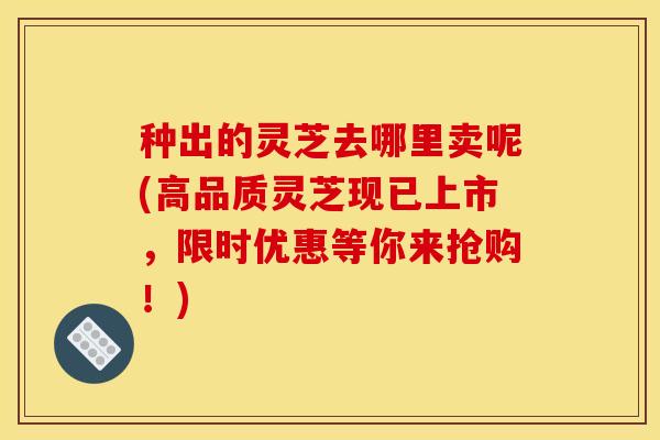 种出的灵芝去哪里卖呢(高品质灵芝现已上市，限时优惠等你来抢购！)