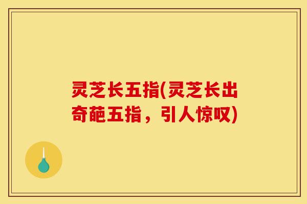 灵芝长五指(灵芝长出奇葩五指，引人惊叹)