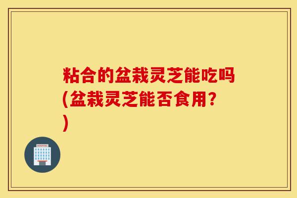 粘合的盆栽灵芝能吃吗(盆栽灵芝能否食用？)