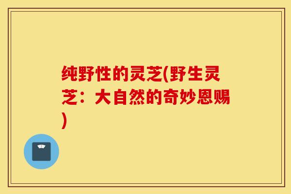 纯野性的灵芝(野生灵芝：大自然的奇妙恩赐)