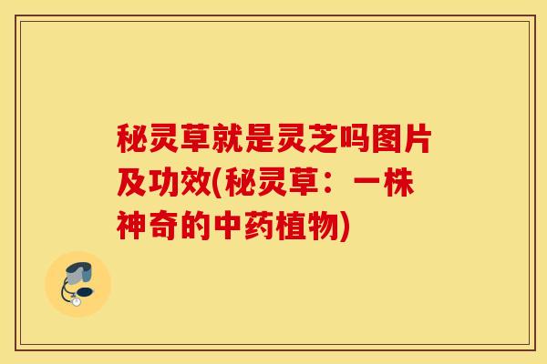 秘灵草就是灵芝吗图片及功效(秘灵草：一株神奇的中药植物)