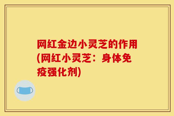 网红金边小灵芝的作用(网红小灵芝：身体免疫强化剂)
