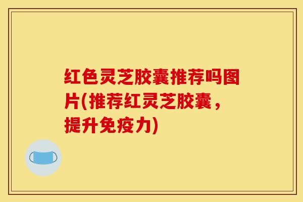 红色灵芝胶囊推荐吗图片(推荐红灵芝胶囊，提升免疫力)
