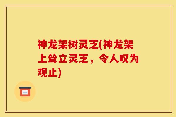 神龙架树灵芝(神龙架上耸立灵芝，令人叹为观止)