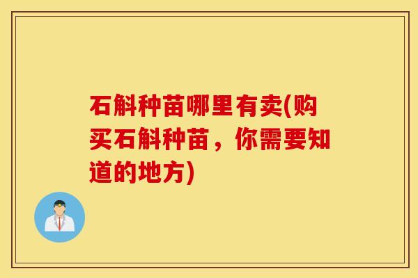 石斛种苗哪里有卖(购买石斛种苗，你需要知道的地方)