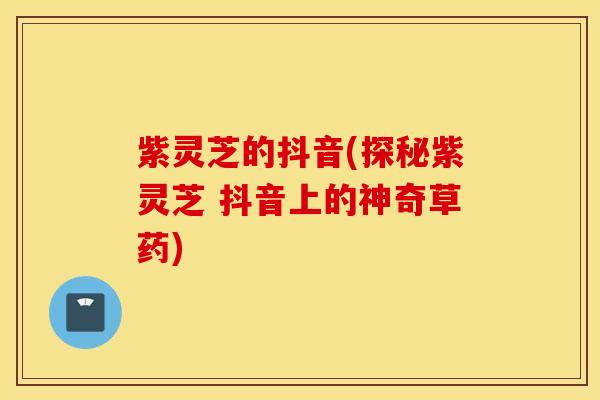 紫灵芝的抖音(探秘紫灵芝 抖音上的神奇草药)
