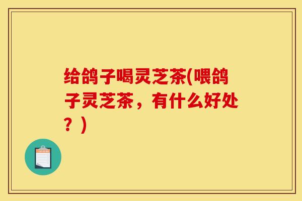给鸽子喝灵芝茶(喂鸽子灵芝茶，有什么好处？)