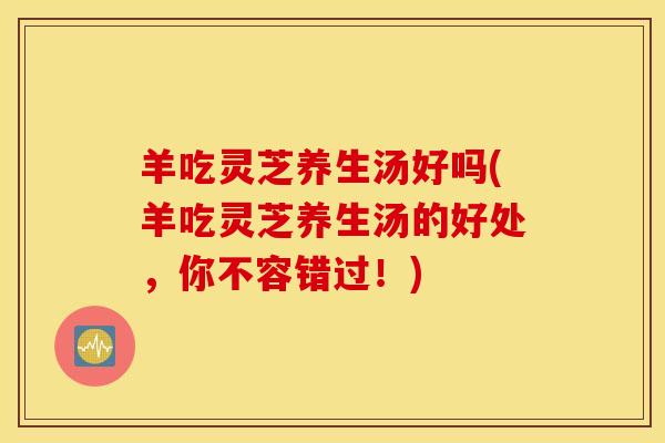 羊吃灵芝养生汤好吗(羊吃灵芝养生汤的好处，你不容错过！)