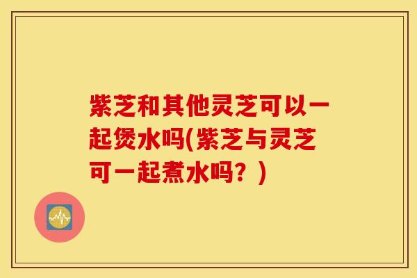 紫芝和其他灵芝可以一起煲水吗(紫芝与灵芝可一起煮水吗？)