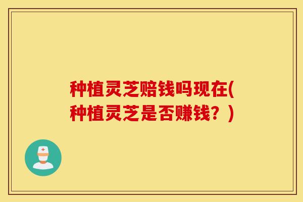 种植灵芝赔钱吗现在(种植灵芝是否赚钱？)