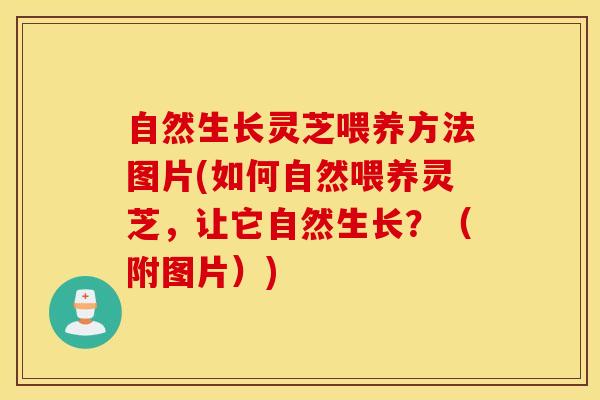 自然生长灵芝喂养方法图片(如何自然喂养灵芝，让它自然生长？（附图片）)