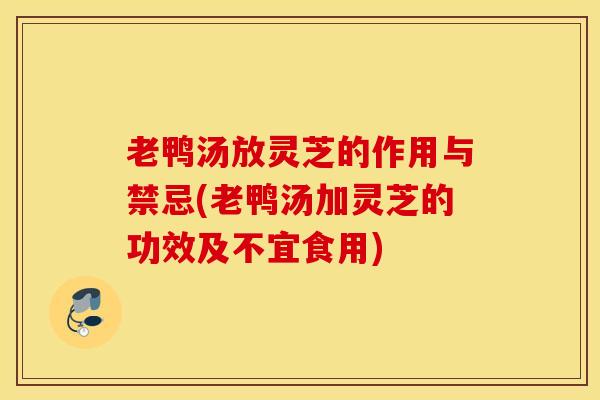 老鸭汤放灵芝的作用与禁忌(老鸭汤加灵芝的功效及不宜食用)