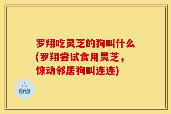 罗翔吃灵芝的狗叫什么(罗翔尝试食用灵芝，惊动邻居狗叫连连)
