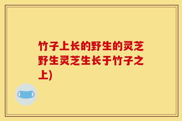 竹子上长的野生的灵芝野生灵芝生长于竹子之上)