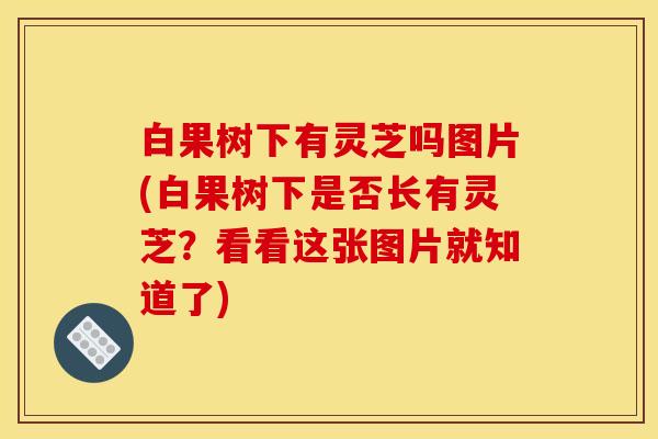 白果树下有灵芝吗图片(白果树下是否长有灵芝？看看这张图片就知道了)