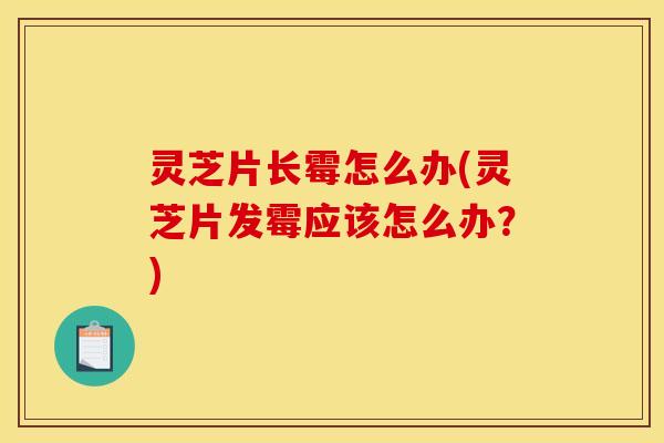 灵芝片长霉怎么办(灵芝片发霉应该怎么办？)
