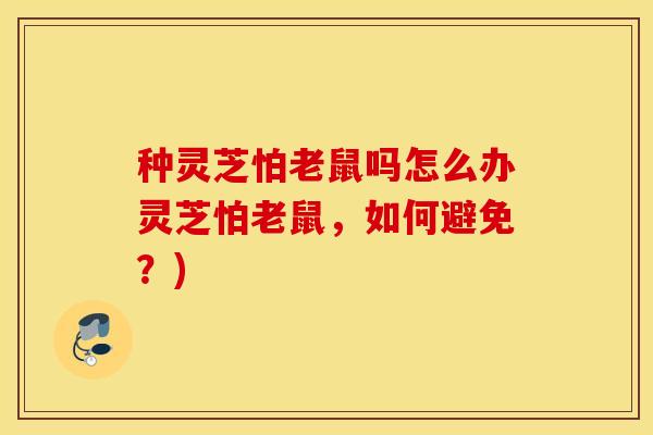种灵芝怕老鼠吗怎么办灵芝怕老鼠，如何避免？)
