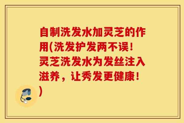 自制洗发水加灵芝的作用(洗发护发两不误！灵芝洗发水为发丝注入滋养，让秀发更健康！)