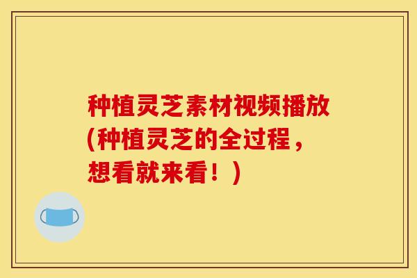 种植灵芝素材视频播放(种植灵芝的全过程，想看就来看！)